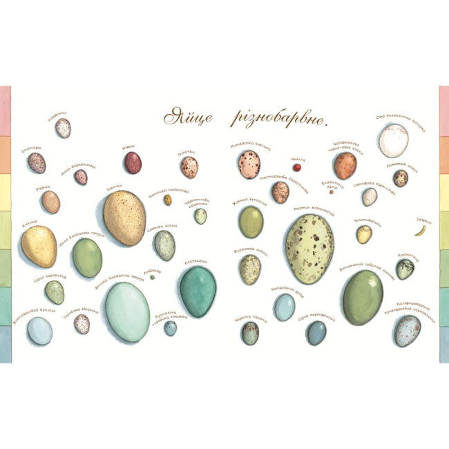 Пізнавальні книги (4-10 років) - Книжка «Яйце безмовне» Астон Гуттс (9789661051040)#4