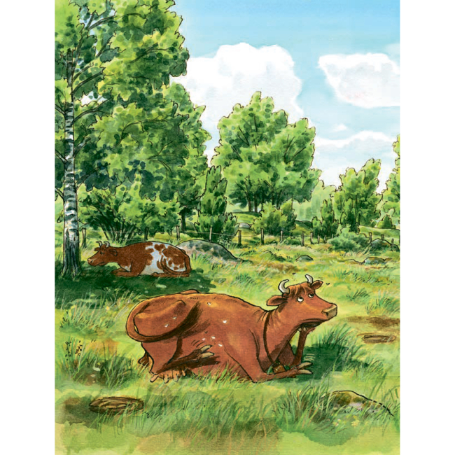 Художня література для дітей (7-13 років) - Книжка «Як Мама Му поранилася» Юйя Вісландер (9789661061360)#2