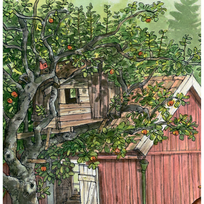 Книги-картинки для дітей (2-6 років) - Книжка «Де це, Петсон?» Свен Нордквіст (9789661050029)#3