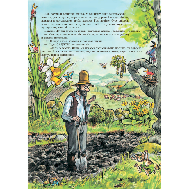 Художня література для дітей (7-13 років) - Книжка «Петсон, Фіндус і переполох на городі» Свен Нордквіст (9789664084502)#3