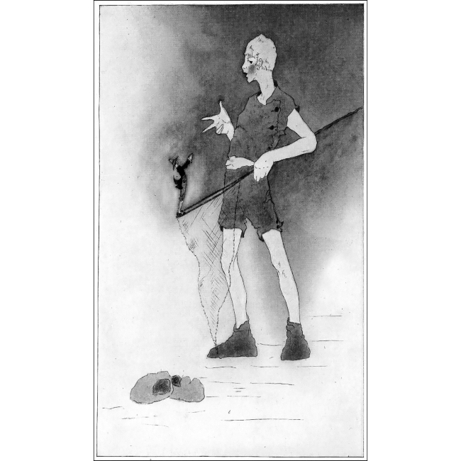 Класика дитячої літератури - Книжка «Чудесна мандрівка Нільса Гольгерсона з дикими гусьми» Сельма Лагерлеф (9789661052917)#5