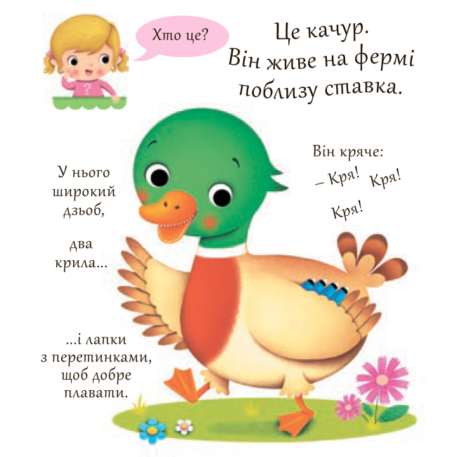 Книги для найменших (0-3 років) - Книжка «Качки» Емілія Бомон та Наталя Беліно (9789661051361)#2