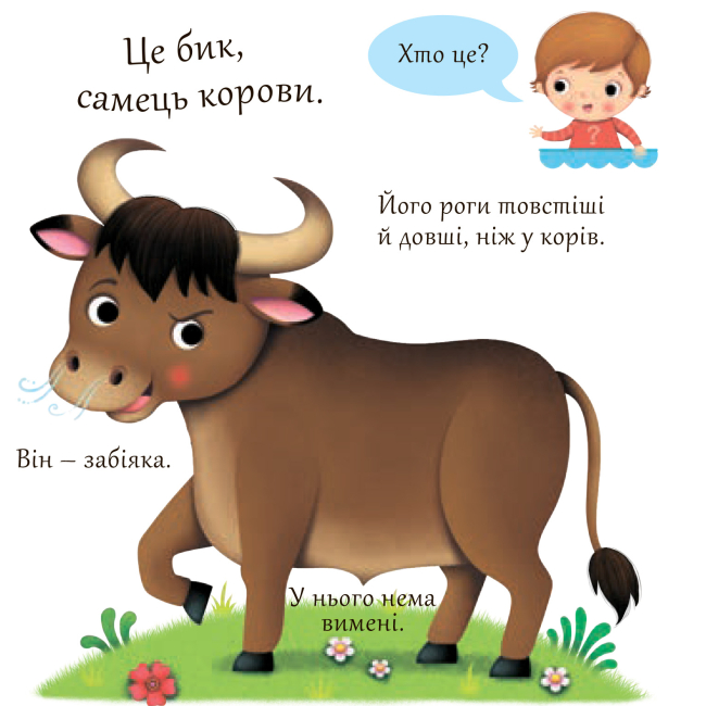 Книги для самых маленьких (0-3 года) - Книжка «Корови» Емілія Бомон та Наталя Беліно  (9789661051415)#3