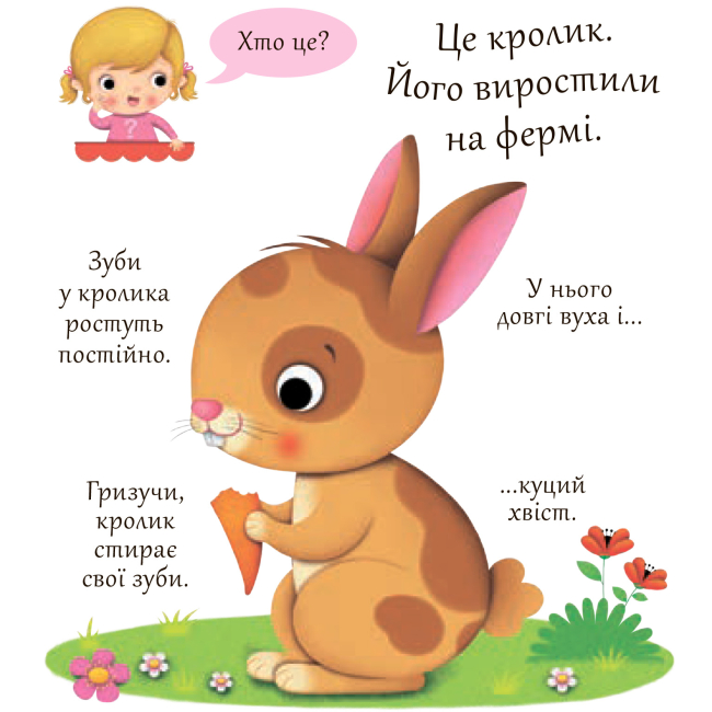 Книги для самых маленьких (0-3 года) - Книжка «Кролики» Емілія Бомон та Наталя Беліно (9789661051392)#2