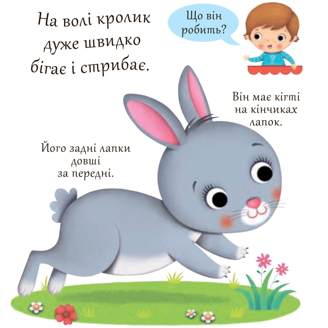 Книги для самых маленьких (0-3 года) - Книжка «Кролики» Емілія Бомон та Наталя Беліно (9789661051392)#3