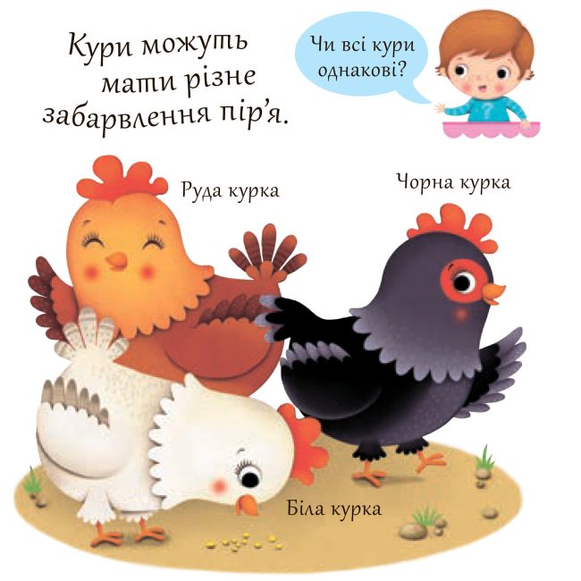 Книги для найменших (0-3 років) - Книжка «Кури» Емілія Бомон та Наталя Беліно  (9789661051408)#3