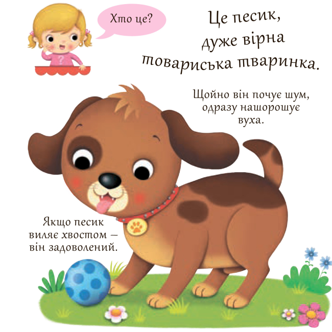 Книги для найменших (0-3 років) - Книжка «Собаки» Емілія Бомон та Наталя Беліно  (9789661051385)#2