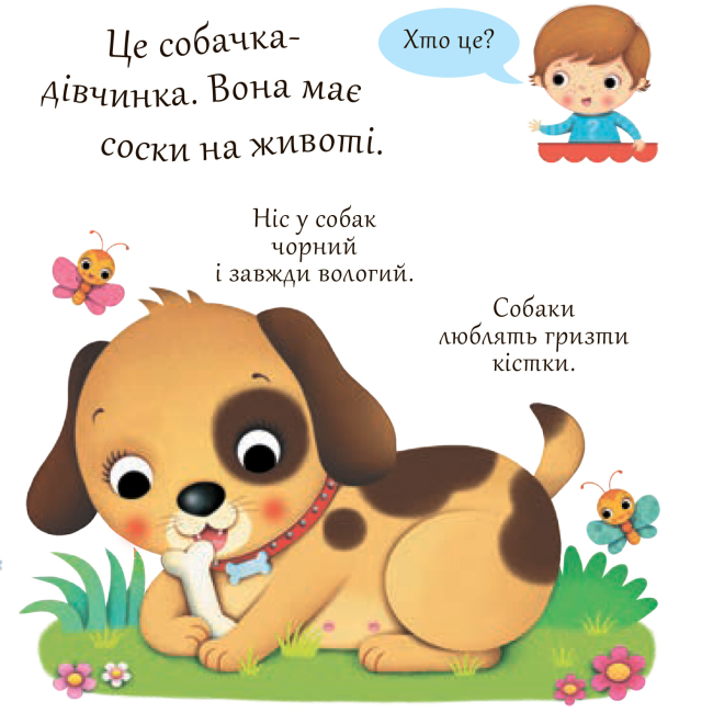 Книги для найменших (0-3 років) - Книжка «Собаки» Емілія Бомон та Наталя Беліно  (9789661051385)#3