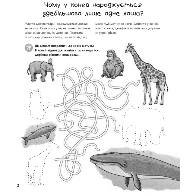 Пізнавальні книги (4-10 років) - Книжка «Чому? Чого? Навіщо? Малята тварин» Штефан Ріхтер та Ангела Вайнгольд (9789661059596)#2