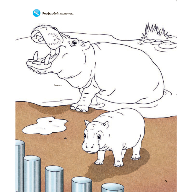 Познавательные книги (4-10 лет) - Книжка «Чому? Чого? Навіщо? У зоопарку» Штефан Ріхтер (9789661059336)#5