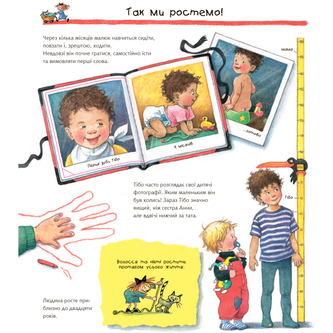 Пізнавальні книги (4-10 років) - Книжка «Чому? Чого? Навіщо? Досліджуємо власне тіло» Доріс Рюбель  (9789661063050)#4