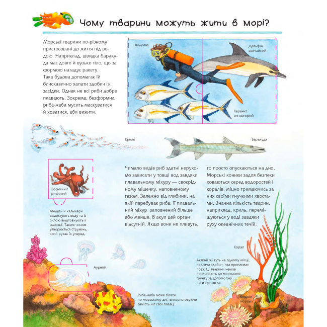 Познавательные книги (4-10 лет) - Книжка «Чому? Чого? Навіщо? Досліджуємо морських тварин» Андреа Ерне (9789661068000)#4