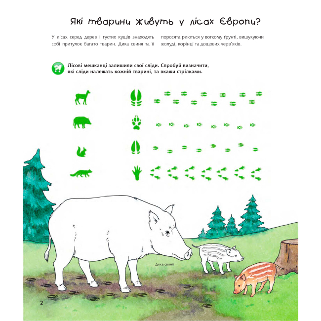 Пізнавальні книги (4-10 років) - Книжка «Чому? Чого? Навіщо? Тварини світу» Штефан Ріхтер (9789661084734)#2