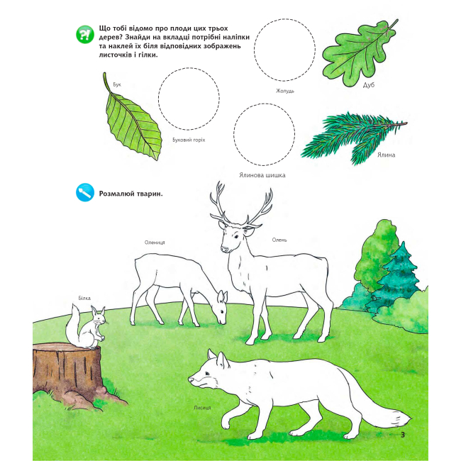 Пізнавальні книги (4-10 років) - Книжка «Чому? Чого? Навіщо? Тварини світу» Штефан Ріхтер (9789661084734)#3