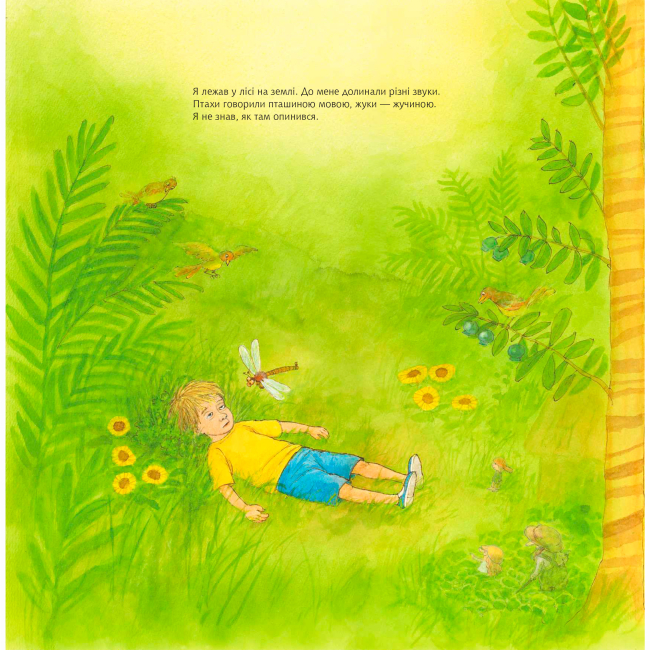 Книги-картинки для детей (2-6 лет) - Книжка «Дорога додому» Свен Нордквіст (9789661088299)#2