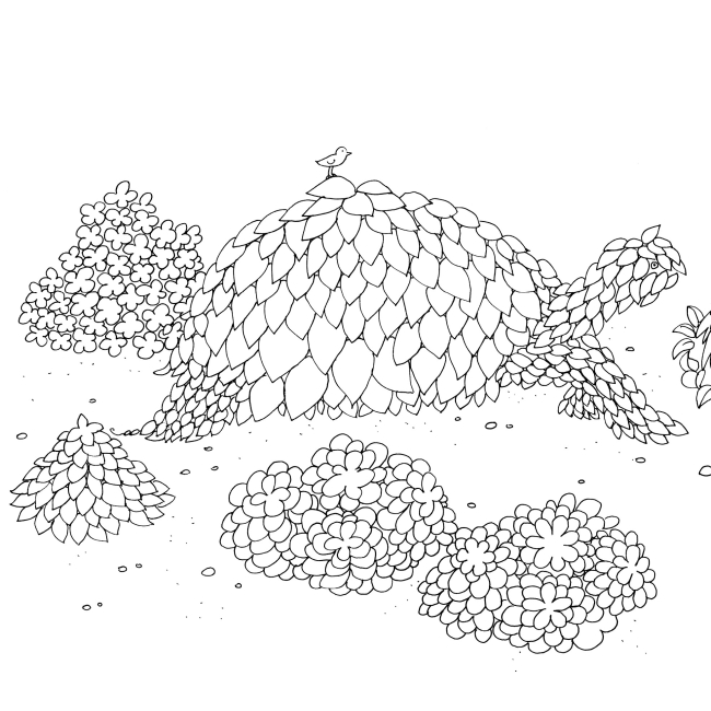 Пізнавальні книги (4-10 років) - Книжка «Дива мальовничих світів» Анґеліка Штубнер (9786178023713)#5