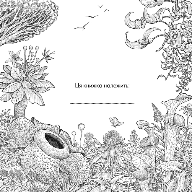 Пізнавальні книги (4-10 років) - Книжка «Зникомий світ» Кербі Розанес (9786178023980)#4