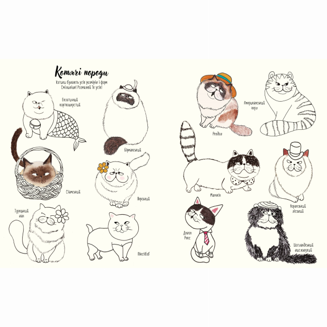Пізнавальні книги (4-10 років) - Книжка «Котюрморт. Як малювати котиків» Лулу Майо (9786177579358)#2