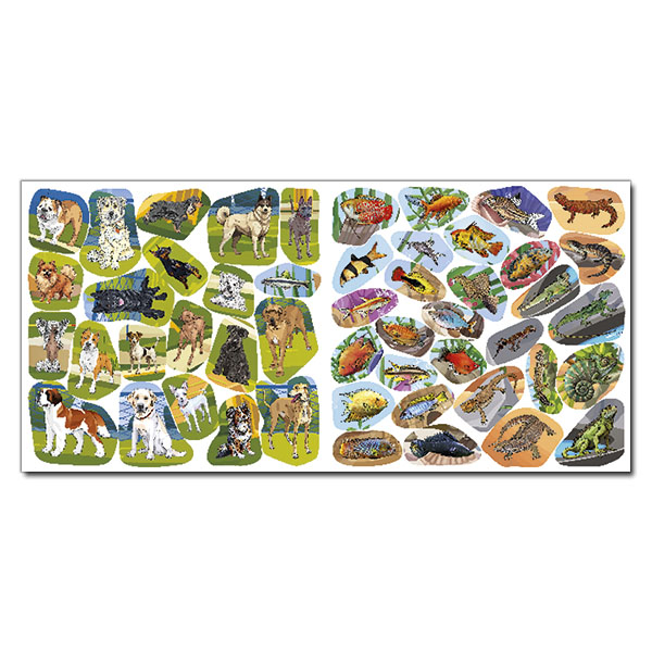 Розмальовки та актівітібуки (2-6 років) - Книжка «Хто де живе. Домашні улюбленці. Біла» (9786178090418)#4