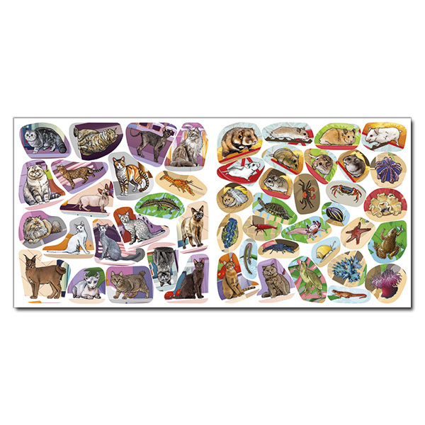 Раскраски и активитибуки (2-6 лет) - Книжка «Хто де живе. Домашні улюбленці. Вишнева» (9786178090432)#4