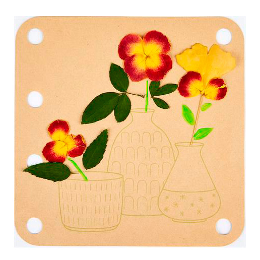 Наборы для творчества - Игровой набор Hape Гербарий натуралиста (E5574)#2