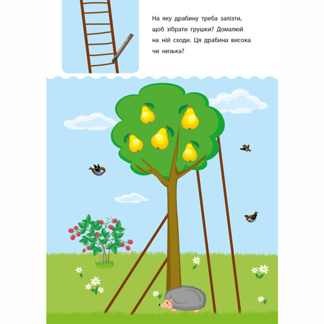 Навчальна література - Книжка «Креативна навчалочка. 3-4 роки» Наталія Мусієнко (9786170943873)#7