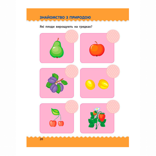 Навчальна література - ​Книжка «Навчалочка. Тести з наліпками» Світлана Моісеєнко (9786170942784)#2