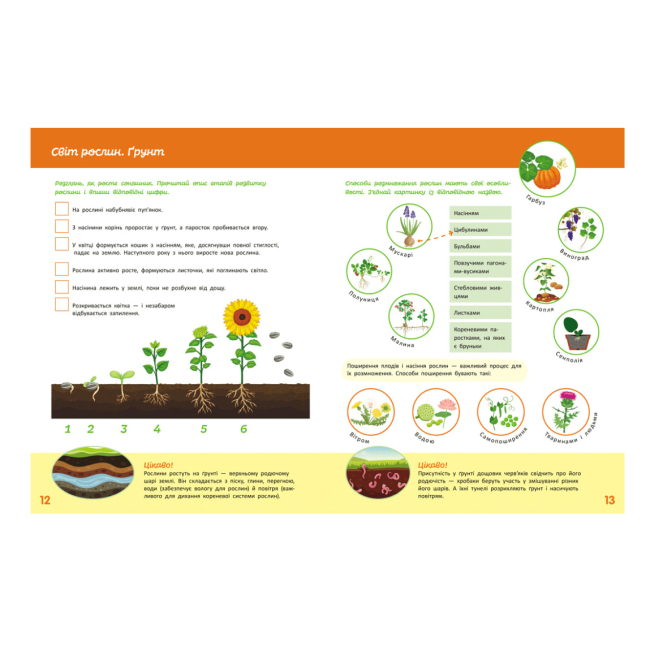 Навчальна література - ​Книжка «Школа Кенгуру. Пізнаємо світ. III крок» Яна Кісильова (9786170993120)#2