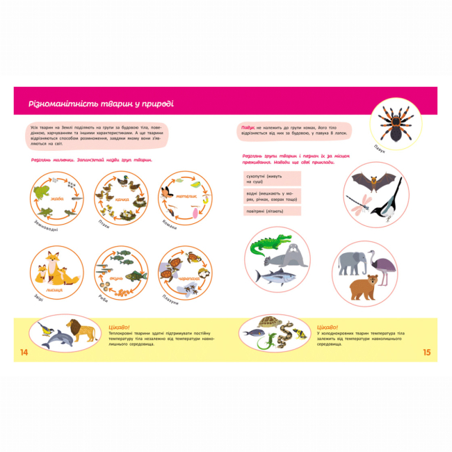 Навчальна література - ​Книжка «Школа Кенгуру. Пізнаємо світ. III крок» Яна Кісильова (9786170993120)#3