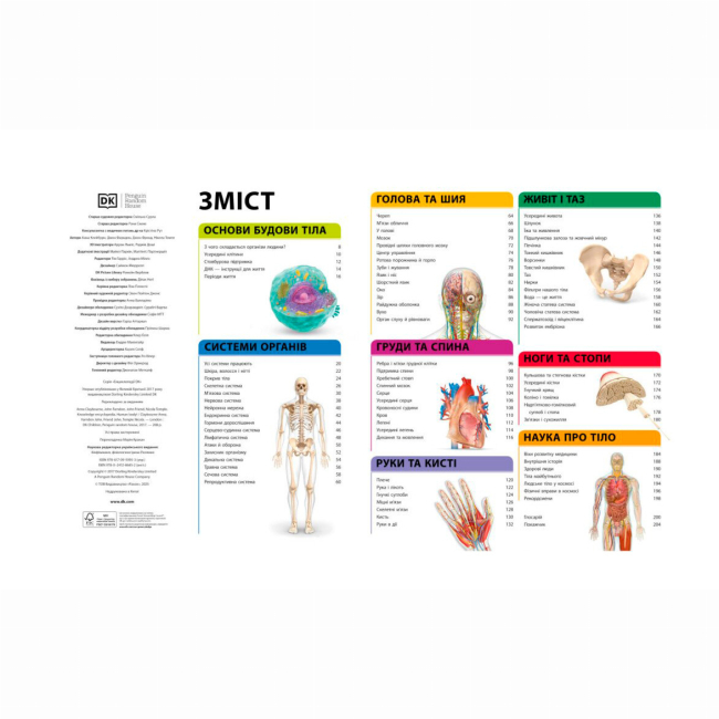 Пізнавальні книги (4-10 років) - Книжка «Енциклопедія знань. Тіло людини» Базеліс Філіп (9786170993953)#2