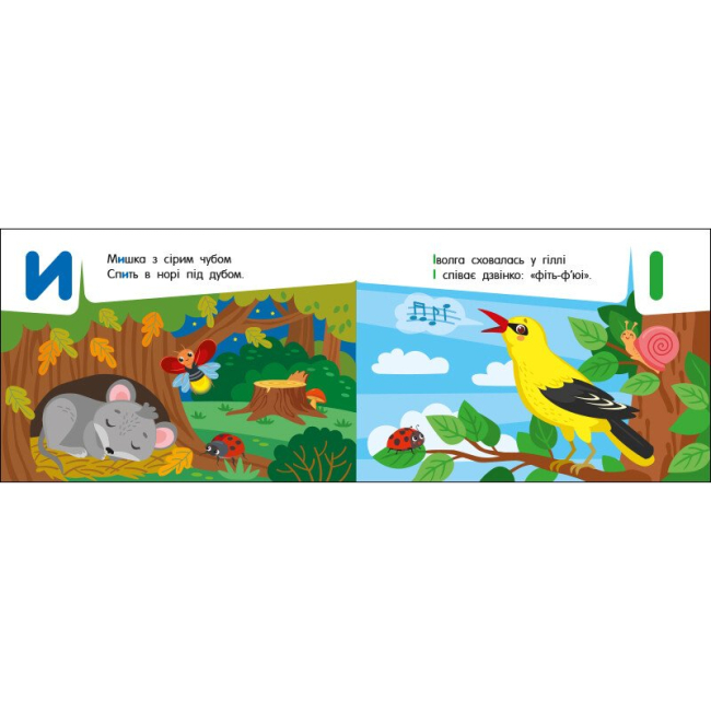 Учебная литература - Книжка «Абетка в лісі. Кишенькова абетка» Ольга Муренець (9789667510855)#3