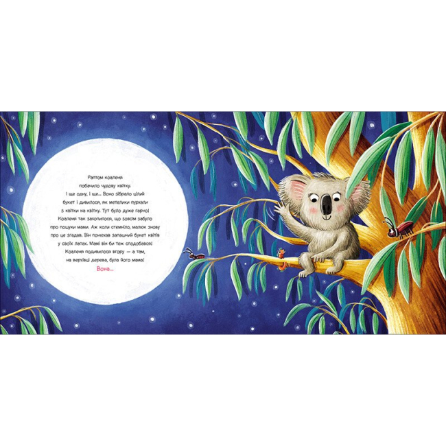 Книги-картинки для дітей (2-6 років) - Книжка «Зникла? Знайшлась! Книга-перевертайка» Нанна Несхьофер  (9786170989895)#4