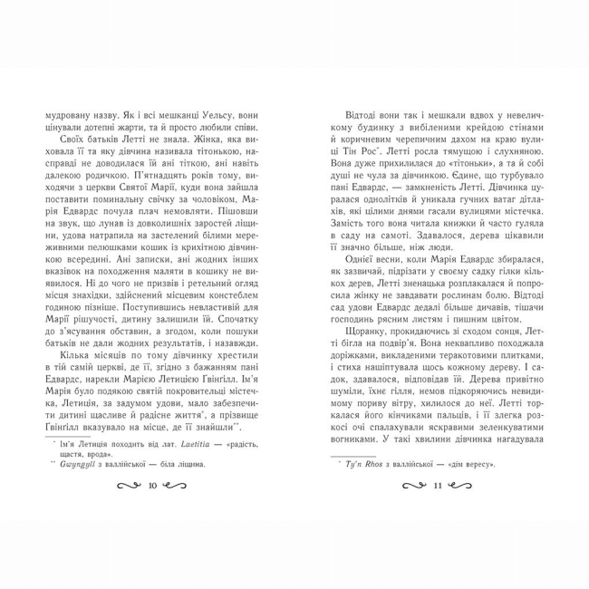 Художественная литература для детей (7-13 лет) - Книжка «Летті Ґвінґілл. Колиска друїдів. Книга 1» Єва Сольська (9786170964113)#5