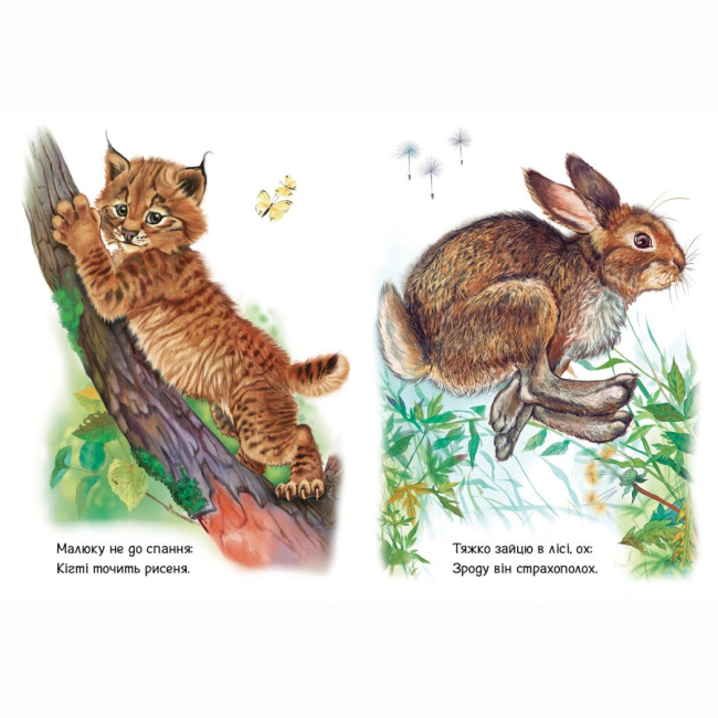 Книги-картинки для детей (2-6 лет) - Книжка «Малятам про звіряток. Лісові звірята. Збірник» Геннадій Меламед (9786170978752)#2
