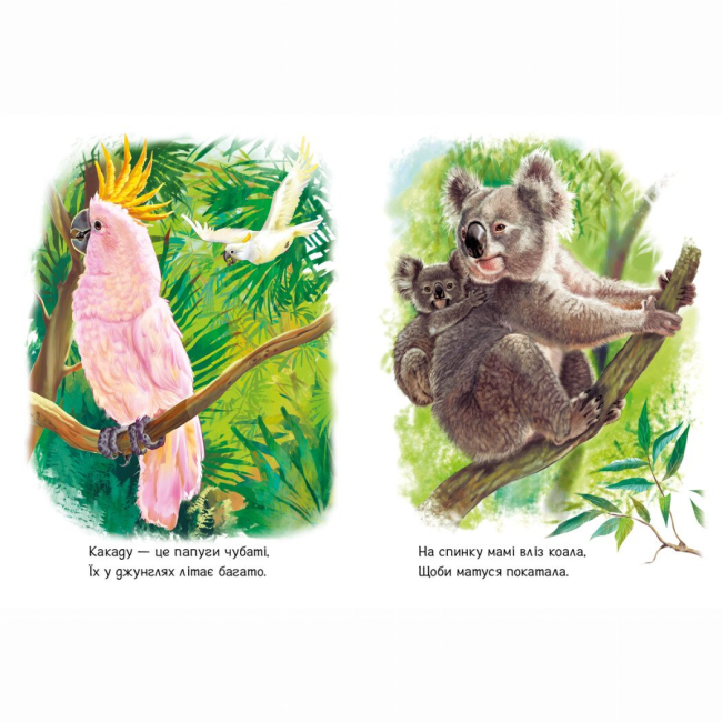 Книги-картинки для детей (2-6 лет) - Книжка «Малятам про звіряток. Лісові звірята. Збірник» Геннадій Меламед (9786170978752)#3