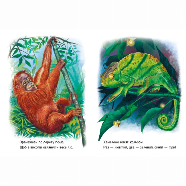 Книги-картинки для детей (2-6 лет) - Книжка «Малятам про звіряток. Лісові звірята. Збірник» Геннадій Меламед (9786170978752)#4