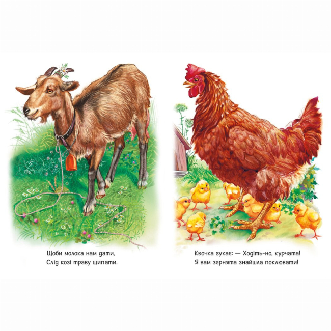 Книги-картинки для детей (2-6 лет) - Книжка «Малятам про звіряток. Поруч з нами. Збірник» Геннадій Меламед (9786170978738)#3