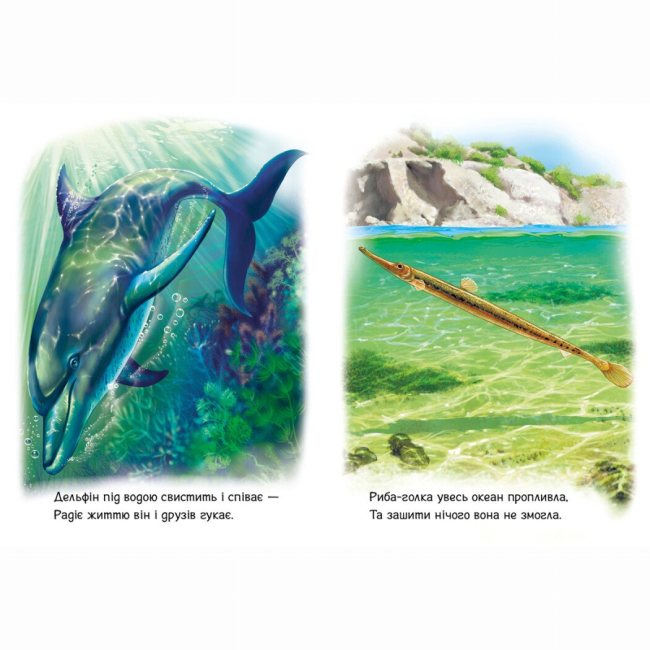 Книги-картинки для детей (2-6 лет) - Книжка «Малятам про звіряток. Тварини світу. Збірник» Геннадій Меламед (9786170978677)#2