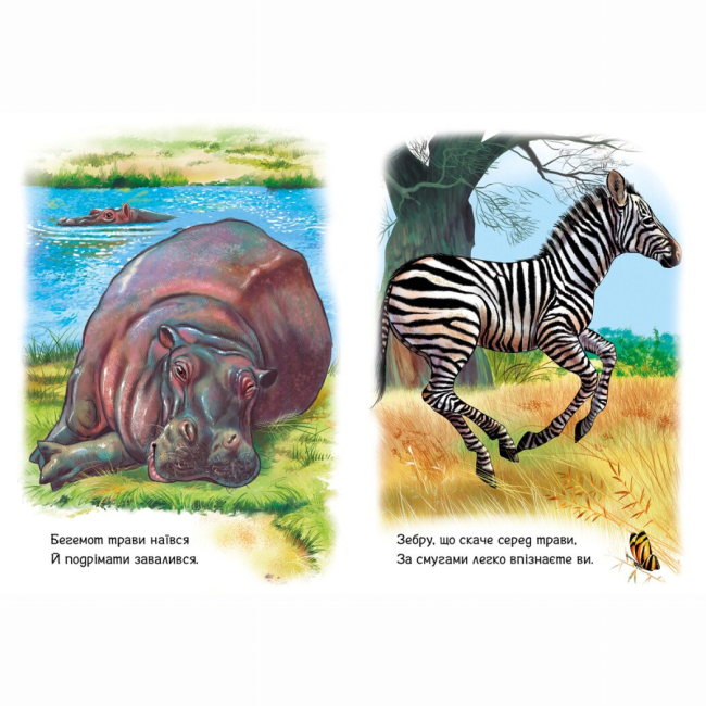 Книги-картинки для детей (2-6 лет) - Книжка «Малятам про звіряток. Тварини світу. Збірник» Геннадій Меламед (9786170978677)#3