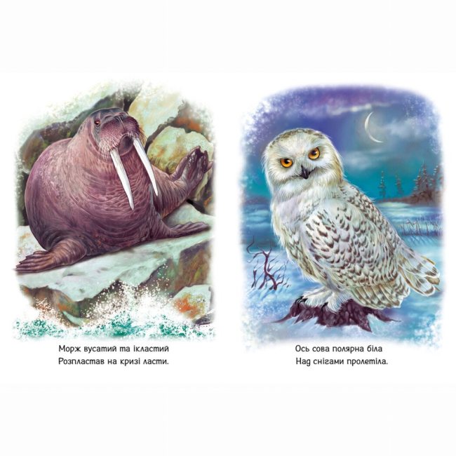 Книги-картинки для детей (2-6 лет) - Книжка «Малятам про звіряток. Тварини світу. Збірник» Геннадій Меламед (9786170978677)#4