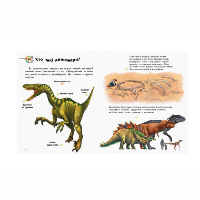 Познавательные книги (4-10 лет) - Книжка «Енциклопедія дошкільника. Динозаври» Юлія Каспарова (9786170950666)#3