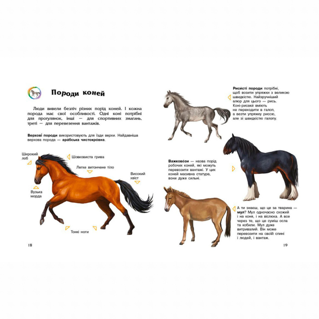 Пізнавальні книги (4-10 років) - Книжка «Енциклопедія дошкільника. Коні» Юлія Каспарова (9786170977816)#2