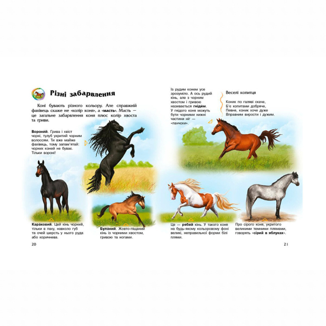 Пізнавальні книги (4-10 років) - Книжка «Енциклопедія дошкільника. Коні» Юлія Каспарова (9786170977816)#3