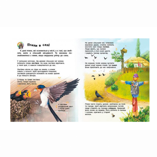 Пізнавальні книги (4-10 років) - Книжка «Енциклопедія дошкільника. Птахи»Юлія Каспарова (9786170969149)#3