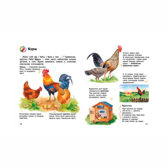 Познавательные книги (4-10 лет) - Книжка «Енциклопедія дошкільника. Свійські тварини» Юлія Каспарова (9786170969118)#3
