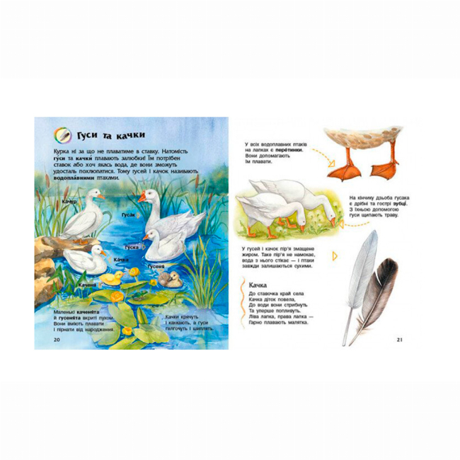Познавательные книги (4-10 лет) - Книжка «Енциклопедія дошкільника. Свійські тварини» Юлія Каспарова (9786170969118)#5