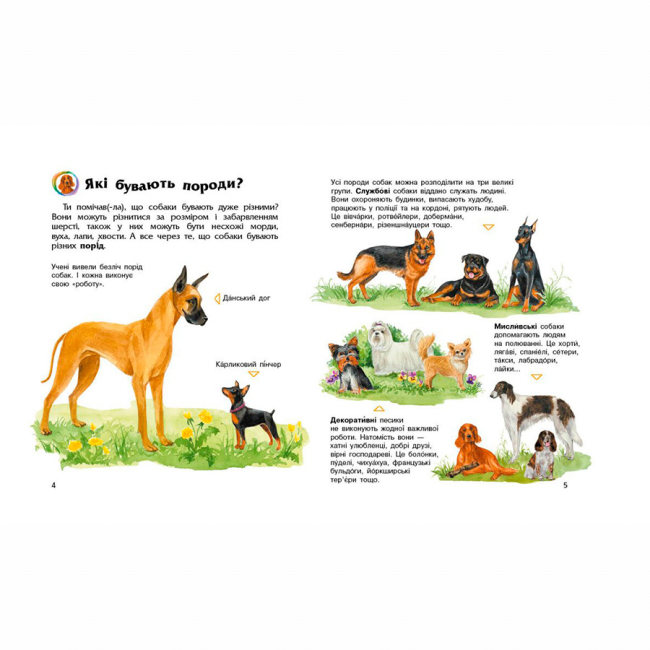 Пізнавальні книги (4-10 років) - Книжка «Енциклопедія дошкільника. Собаки» Юлія Каспарова (9786170976819)#2
