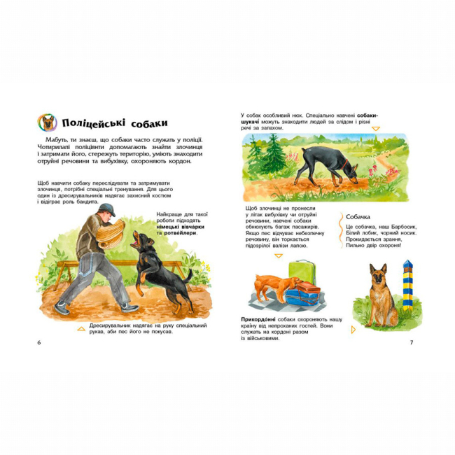 Пізнавальні книги (4-10 років) - Книжка «Енциклопедія дошкільника. Собаки» Юлія Каспарова (9786170976819)#3