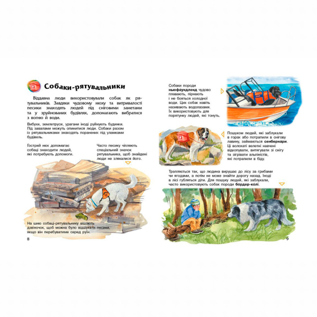 Пізнавальні книги (4-10 років) - Книжка «Енциклопедія дошкільника. Собаки» Юлія Каспарова (9786170976819)#4