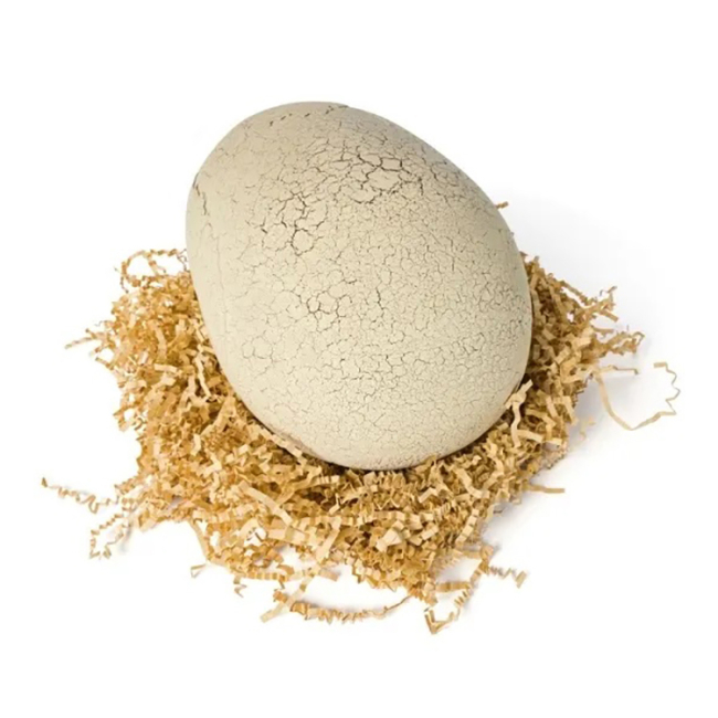 Фігурки тварин - Ігровий набір Primal Hatch Інтерактивний тиранозавр Рекс в яйці (SM69400)#4